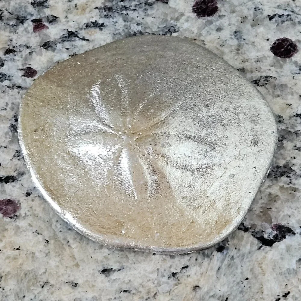 REGINA ANDREW SILVER SAND DOLLAR COASTAL BEACH VASE FILLER HOME TABLE DECOR